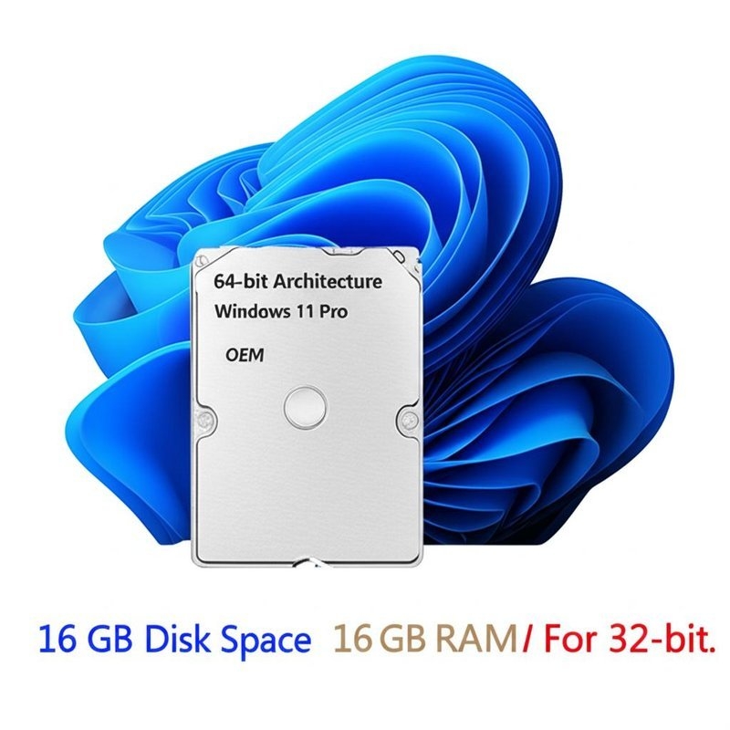 64-bit Architecture Windows 11 Pro OEM 16 GB Disk Space 1 GB RAM For 32-bit