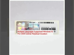 การสนับสนุนหลายภาษา Windows 10 Pro ใบอนุญาต OEM ระยะเวลานาน